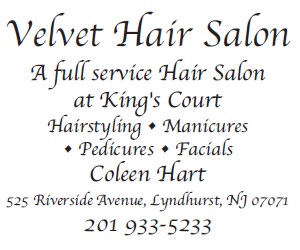 Velvet Hair Salon